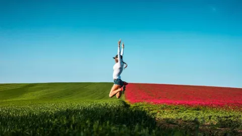 喜马拉雅烟花项目时间线