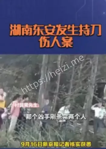 东安持刀伤人事件细节