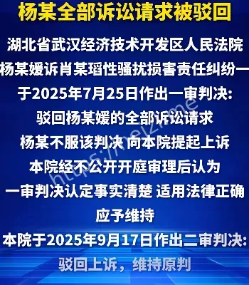 武大图书馆诬告事件