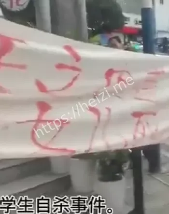 8天之内两起学生自杀事件