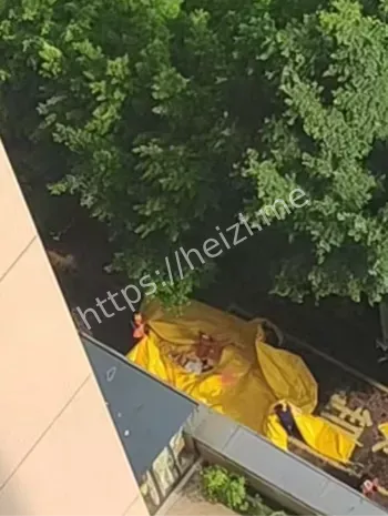 17岁抑郁症悲剧