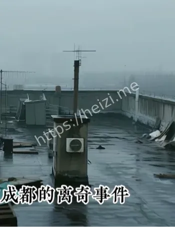 成都量子纠缠消失案