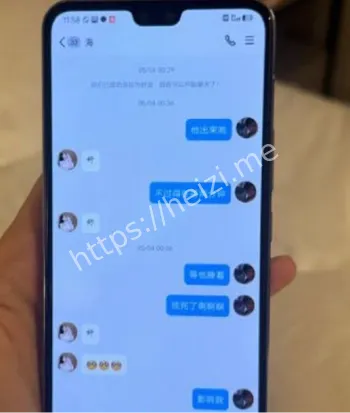 刘议阳17分钟完整视频