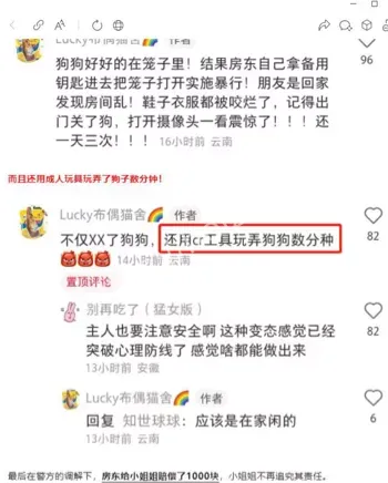 云南大理月溪村房东
