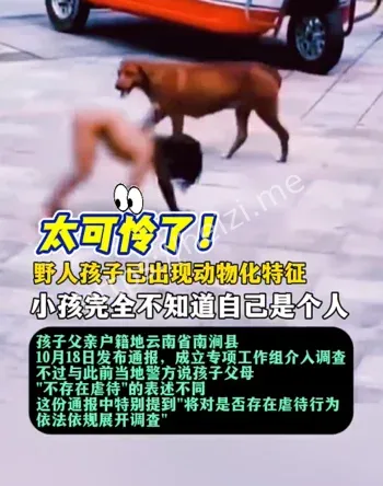 雅西高速石棉服务区事件