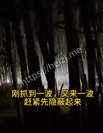 眉山真人版偷甘蔗