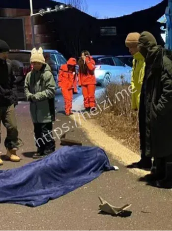 张家口S231吊车失控视频