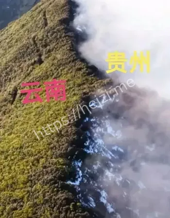 准禁止锋照进现实