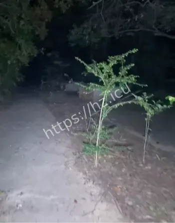 湖南大学闹鬼传闻