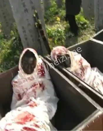 吃人肉生殖器下酒