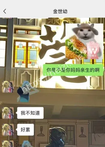 金世幼聊天记录曝光