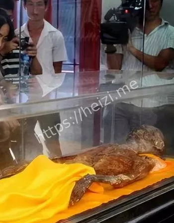 云南某地惊现清朝不腐地主尸