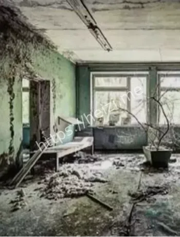 樟宜医院鬼猎视频