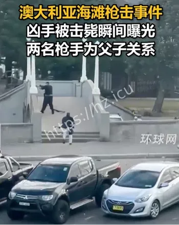 邦迪海滩光明节枪击案