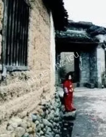 秦岭夜狸猫事件