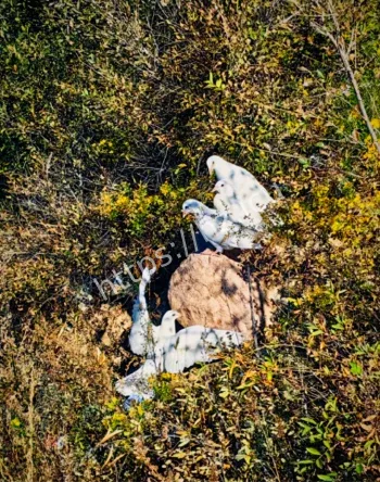 香山古井阴气传说