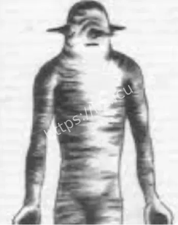 卡尔文帕克UFO遭遇