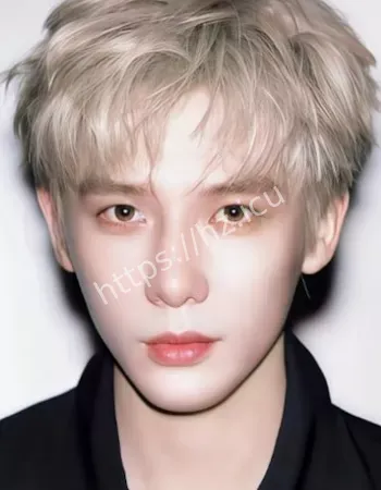 网友称横店炮王